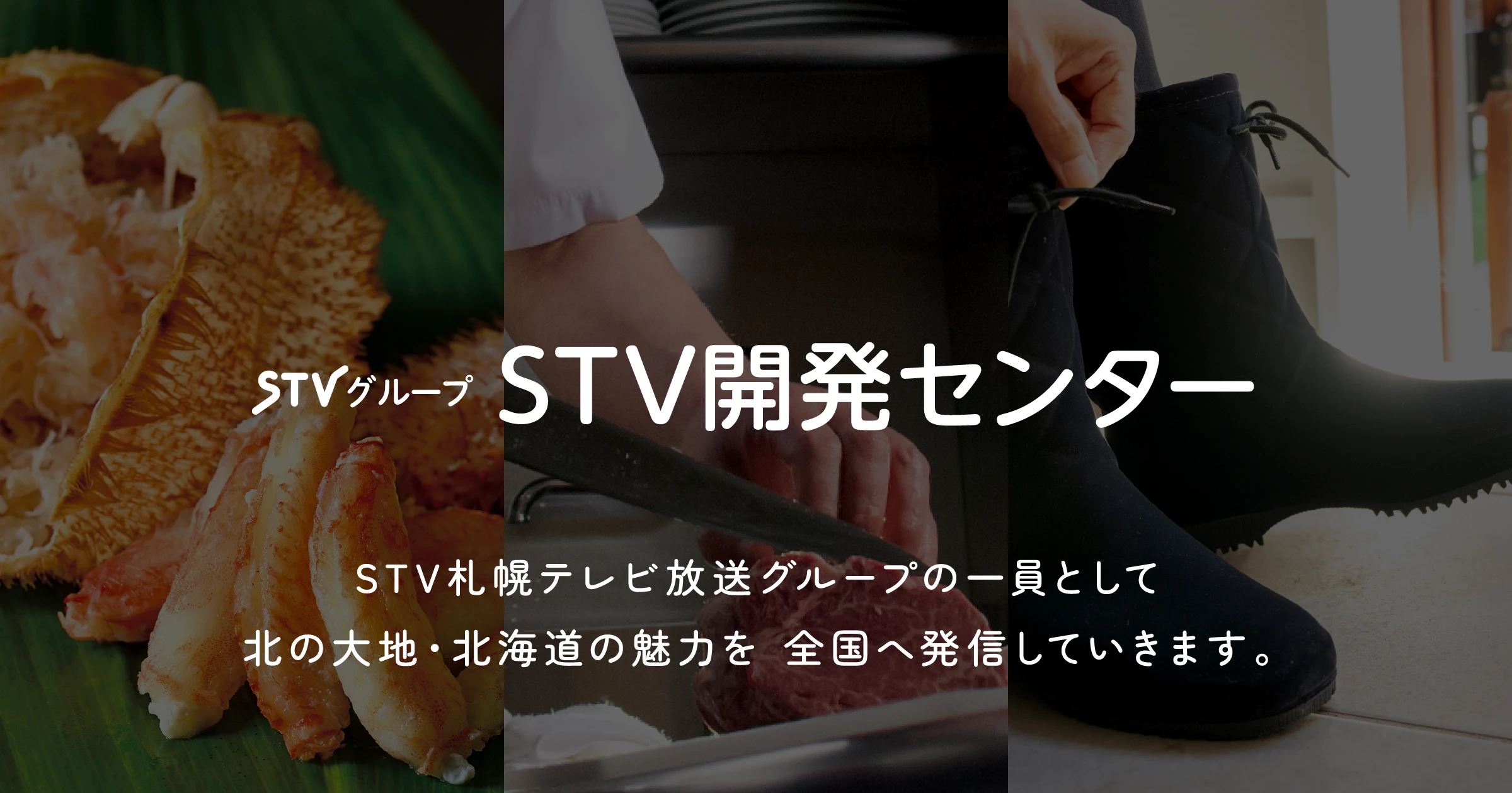 札幌テレビ放送二十年史(札幌テレビ放送社史編纂委員会 編